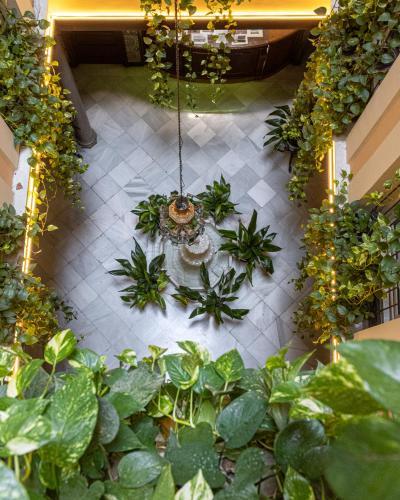 an overhead view of a garden with plants and lights at Hotel Reina Cristina in Granada