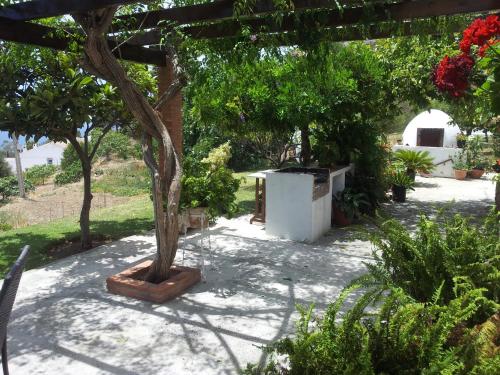 Villa Huerta Vicenteにある庭