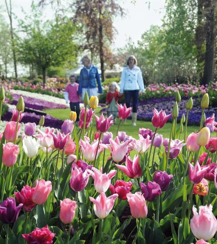 a group of people standing in a garden of flowers at Vakantiepark Koningshof in Rijnsburg
