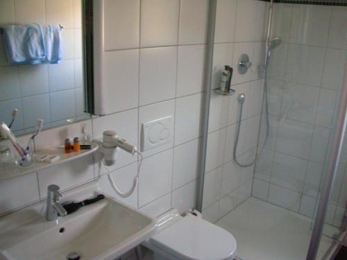 a bathroom with a shower and a sink and a toilet at Gasthof Blume in Hausach