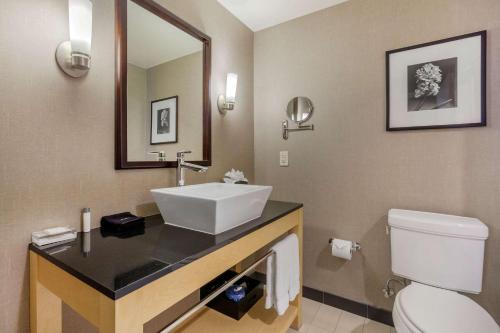 Cambria Hotel Denver International Airport tesisinde bir banyo