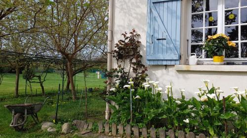a house with a blue window and a flower garden at Monica di Sorbo in Sorbo-Ocagnano
