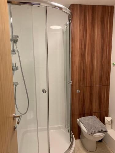 a shower stall in a bathroom with a toilet at Central Perks Apartment (sleeps 4) in Hull