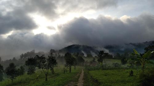 a dirt road in a field with clouds in the sky at ไร่นิธิสุนทร nithisoonthon farmstay in Mae Hong Son