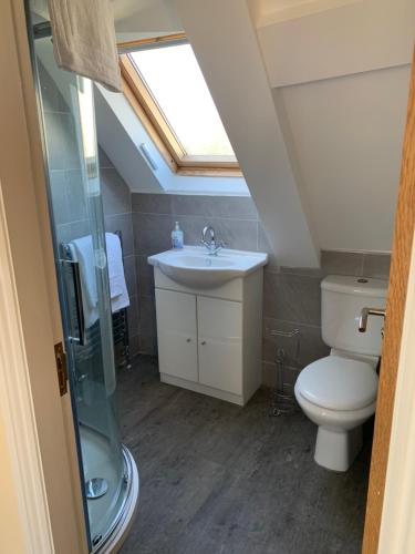 a bathroom with a toilet and a sink and a skylight at Castle house in Knaresborough