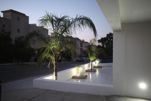 a row of palm trees on a sidewalk with lights at Aphentrika Apartments in Protaras