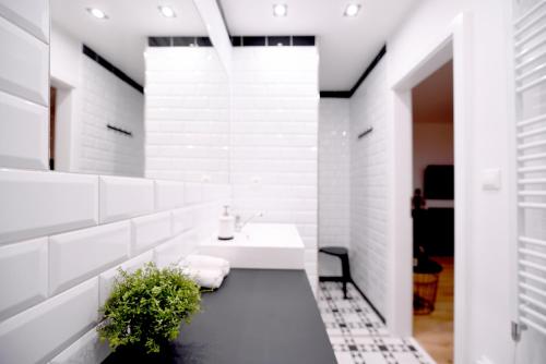 a white bathroom with a sink and a mirror at Apartmán s átriom v historickom centre in Trenčín