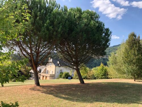 dos árboles en un campo frente a una casa en Le Clos St Georges, en Entraygues-sur-Truyère