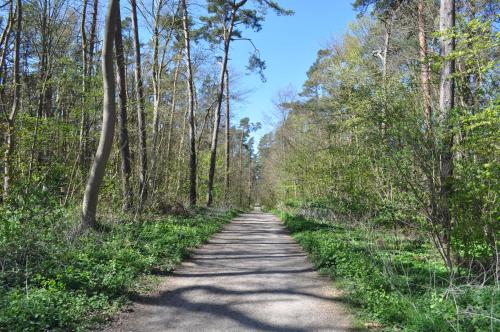 Ostseetraum photo 33