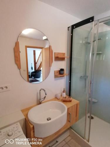 a bathroom with a sink and a shower and a mirror at Au Cocon des Cigognes in Sigolsheim