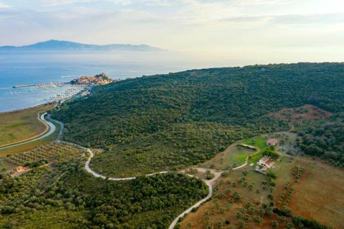 una vista aerea di una collina con alberi e l'oceano di Podere Caprarecce Trilocale 6 a Talamone