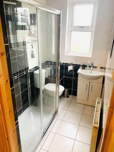 a bathroom with a shower and a toilet and a sink at Private Apartment in Dumfries