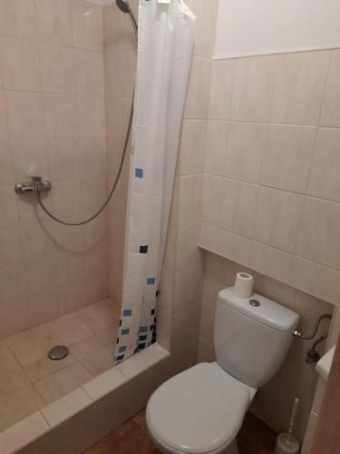 uma casa de banho com um WC e um chuveiro em Pensjonacik Marzenie em Klonowo Dolne