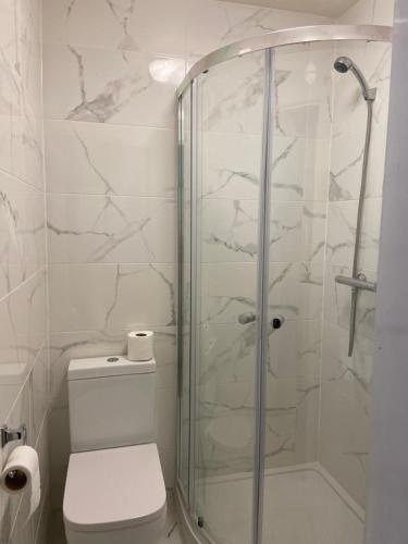 La salle de bains est pourvue d'une douche et de toilettes. dans l'établissement Abbey Lodge Hotel, à Londres