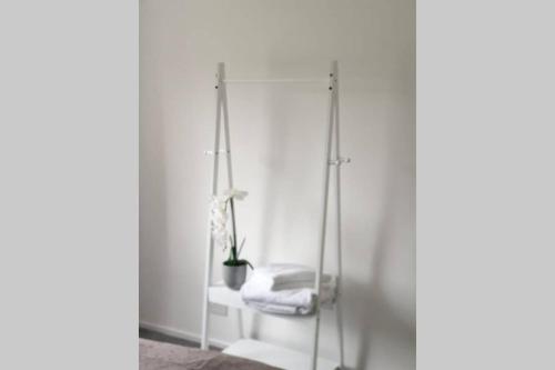 a bathroom with a shower with a chair and a plant at Stay Newbiggin-By-The-Sea in Woodhorn