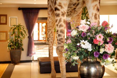 Fotografie z fotogalerie ubytování Bains Lodge v destinaci Bloemfontein
