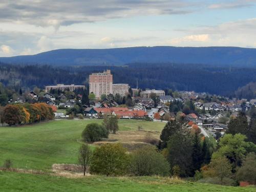 a town in a field with a city in the background at Ferienwohnung Schneeweißchen an der Therme in Altenau