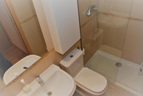 a bathroom with a toilet and a sink and a shower at APARTAMENTOS LÁZARO Ctra de Francia 4 in Escarrilla