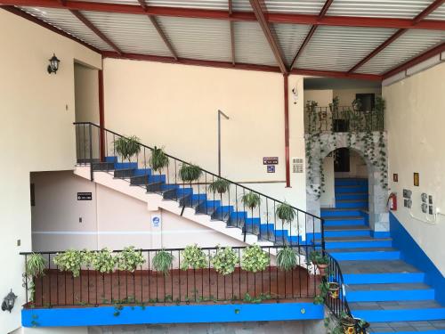 a staircase in a building with blue stairs and plants at Hotel Camino de Villaseca in Guanajuato