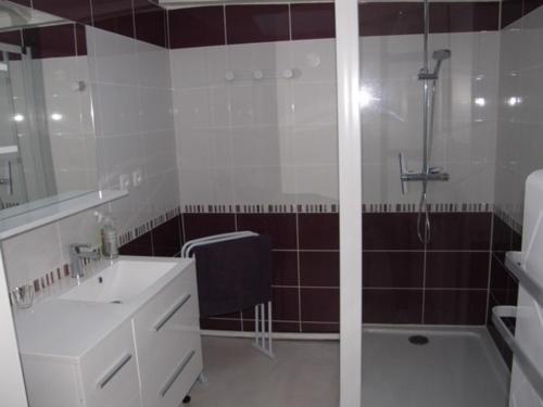 a bathroom with a shower and a sink and a tub at LES CAPUCINES 1 in Le Mont-Dore