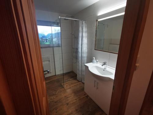 a bathroom with a sink and a shower with a mirror at Alpenblick 30 in Bad Mitterndorf