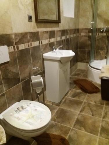 a bathroom with a toilet and a sink at Apartmán Formanka in Liberec