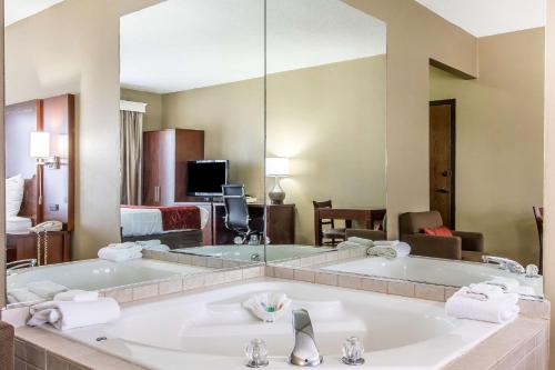 Comfort Suites Effingham tesisinde bir banyo