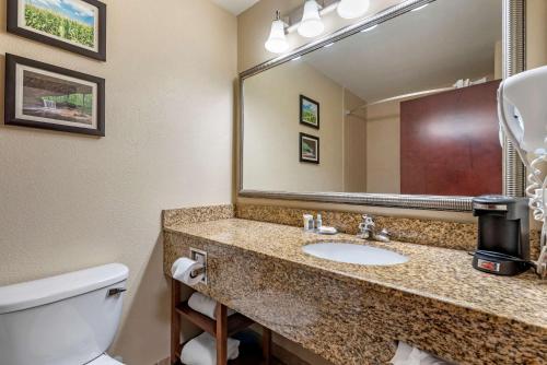 Koupelna v ubytování Comfort Inn & Suites Muncie Near University