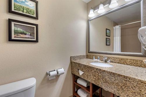 a bathroom with a sink and a mirror at Comfort Inn & Suites Muncie Near University in Muncie
