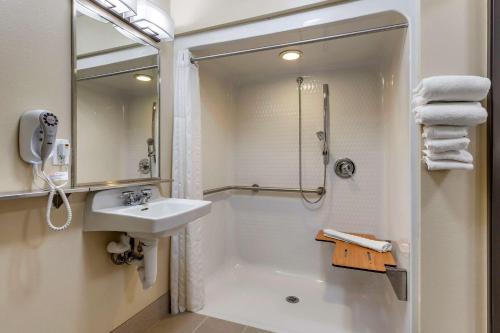 a bathroom with a sink and a shower and a sink at Comfort Inn & Suites Dimondale - Lansing in Dimondale
