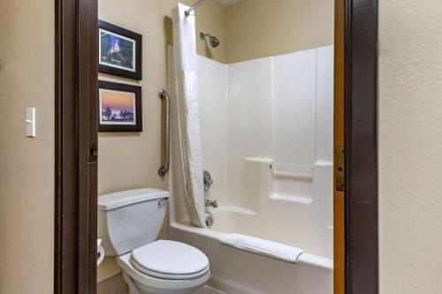 a bathroom with a white toilet and a shower at Comfort Inn & Suites Dimondale - Lansing in Dimondale