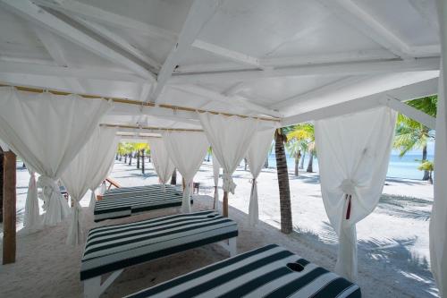 vier ligstoelen onder een witte luifel op het strand bij Bohol Beach Club in Panglao