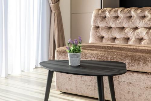 a black coffee table with a plant on it next to a couch at M50 Apartments in Palanga