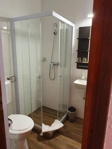 a bathroom with a shower with a toilet and a sink at Delanta Panzio in Pécs