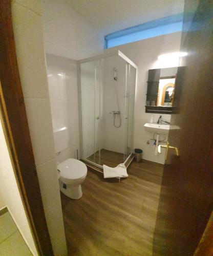 a bathroom with a toilet and a shower and a sink at Delanta Panzio in Pécs