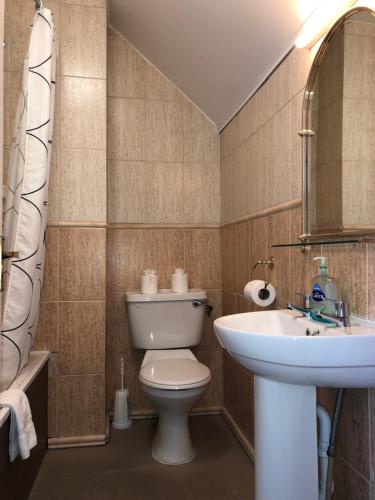 a bathroom with a toilet and a sink at Harveys Guest House in Dublin