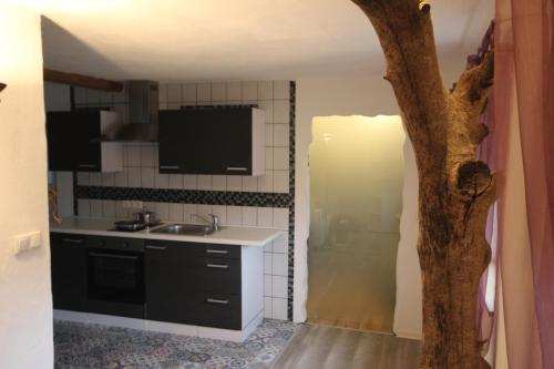 Kuchyň nebo kuchyňský kout v ubytování Ferienwohnung Fischach
