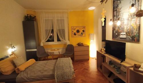 Dormitorio con cama, escritorio y TV en BGMignonne, so cozy, so relaxing, so near center en Belgrado