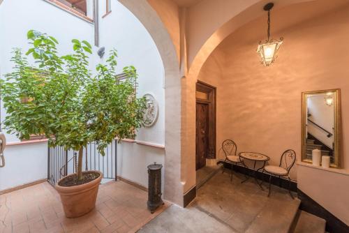 a hallway with a potted tree and a table at Lemon Tree Boutique Guest House in Todi