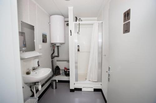 uma casa de banho branca com um lavatório e um chuveiro em Hestaland Guesthouse Horse Farm Stay em Staðarhús