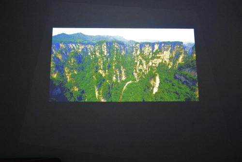The Wonder At Stay-Bentencho-
