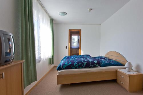 ein Schlafzimmer mit einem Bett und einem TV. in der Unterkunft Hotel Landgasthof Puck in Böddenstedt