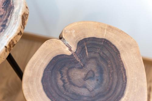 a close up of a wooden bowl of water at Il Treno dei Sogni - Bed & Relais in Conselve