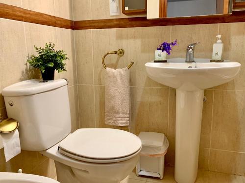 a bathroom with a white toilet and a sink at Casa Rural Arenal in Torrijo de la Cañada