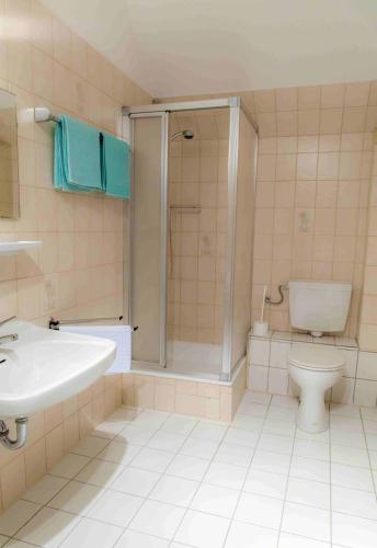 a bathroom with a sink and a toilet and a shower at Hotel Landgasthof Puck in Böddenstedt