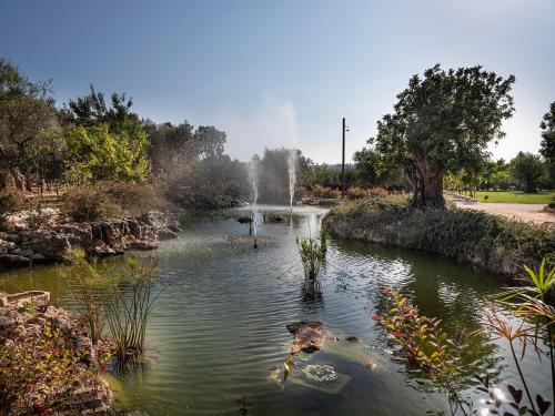 a pond in a park with a fountain at Trulli Uliveto Acquafonda in Alberobello