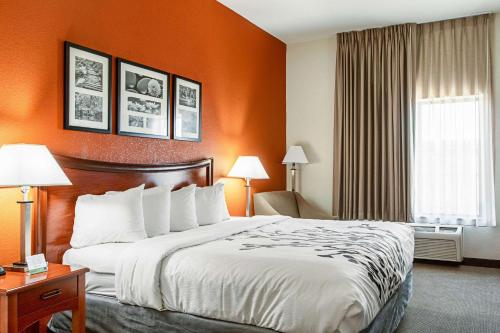 a hotel room with a large bed and a window at Sleep Inn & Suites in Hobbs