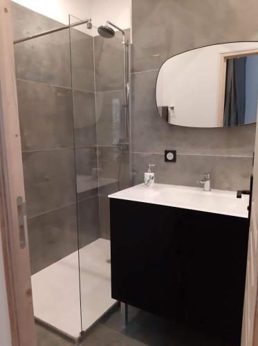 une salle de bain avec une douche, un lavabo et un miroir dans l'établissement HOME SWEET HOME 2 pièces 42 m2 Chambre, salon, cuisine, grande terrasse, parking proche centre ville et mer, à Bastia