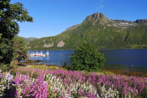 a view of a lake with mountains and flowers at Waterfront Senja 3 in Torsken