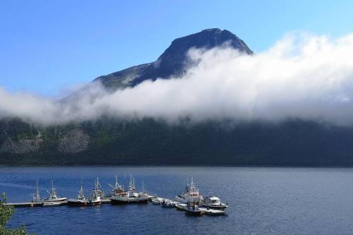 a group of boats in a body of water with a mountain at Waterfront Senja 3 in Torsken
